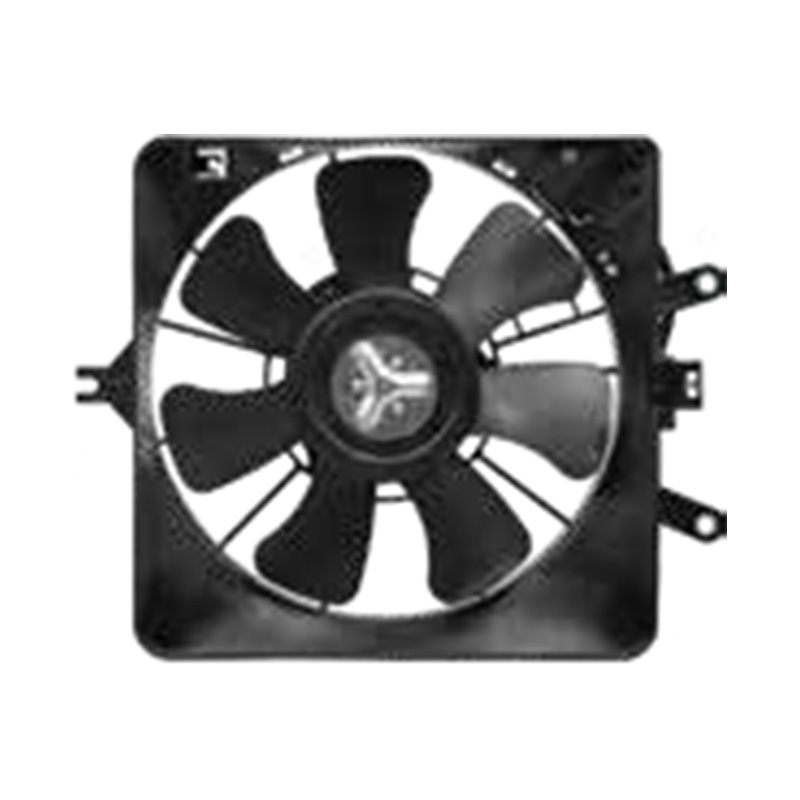 FITIJAZZ (KOND FAN) 2005-2006 CFHL02